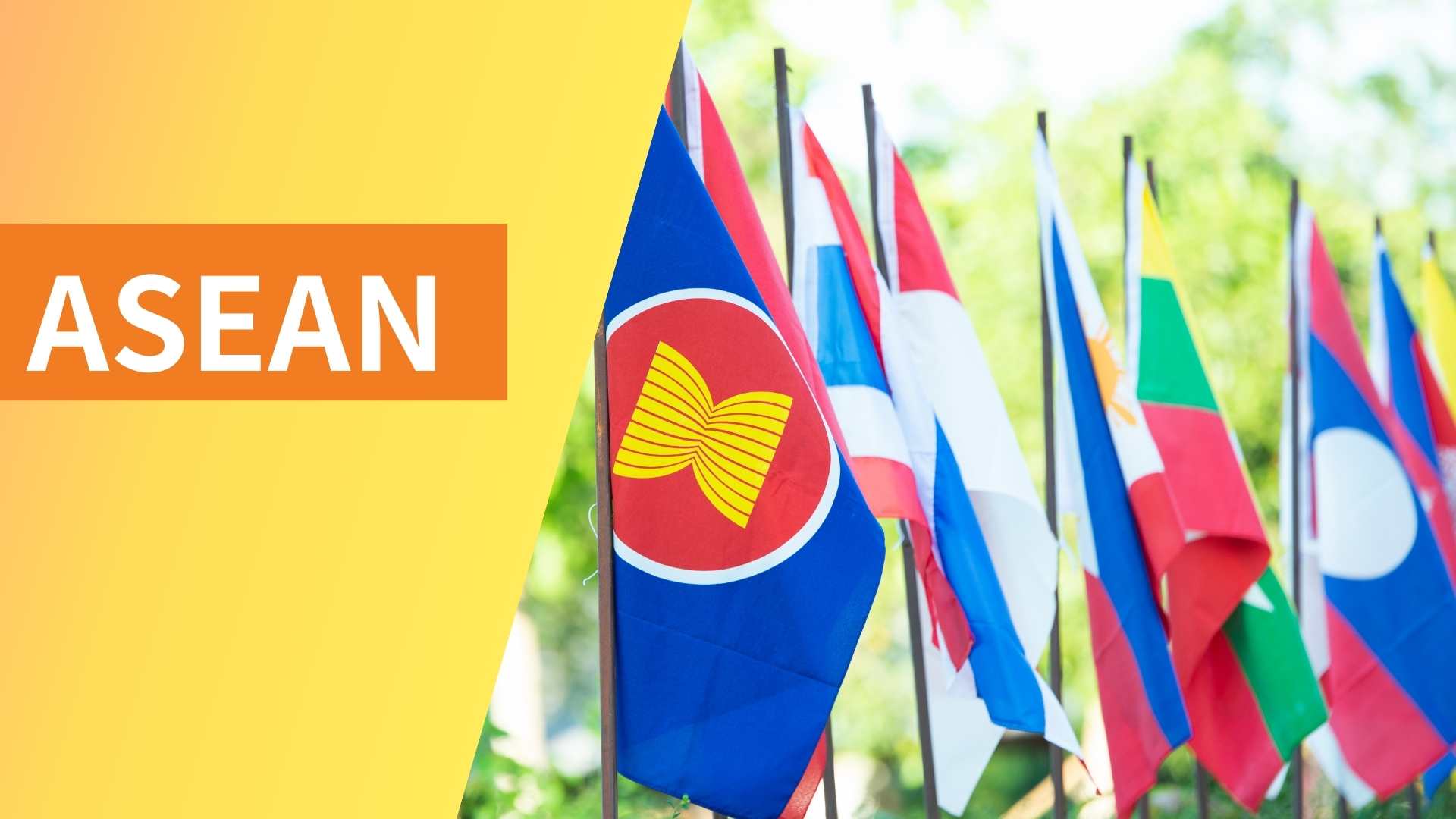 ASEAN flags
