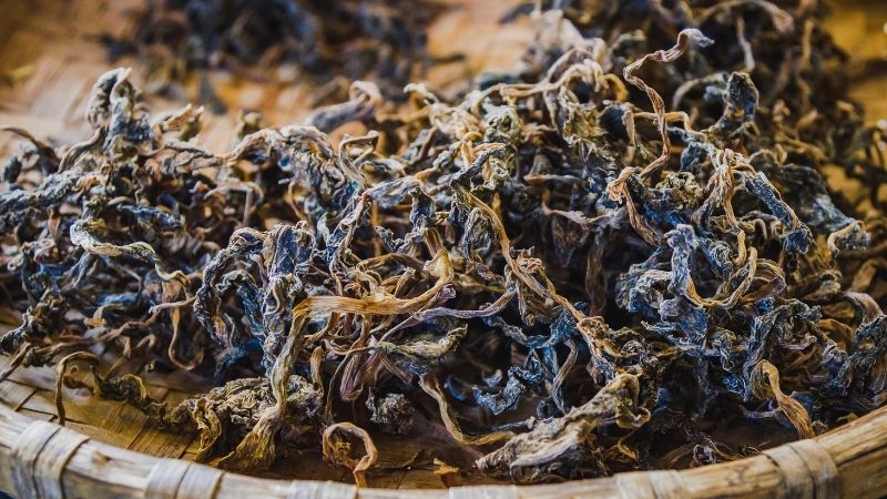 グンドゥルック