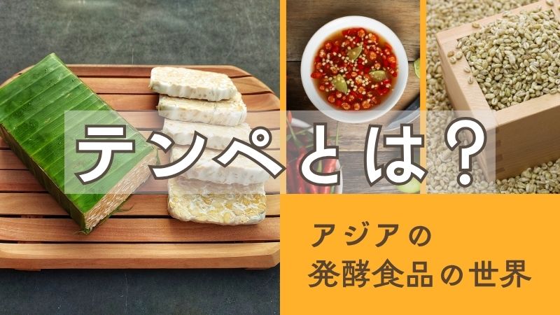テンペとは？インドネシアの発酵食品から見えるアジアの食文化
