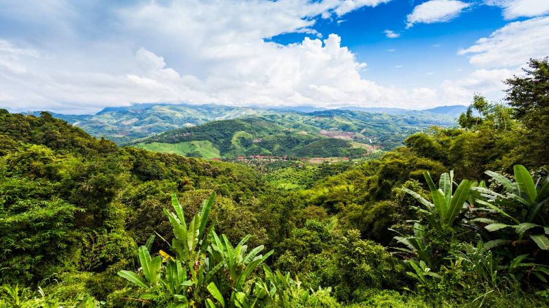 残留日本兵という問い